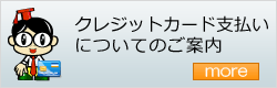 クレジットカード支払いの詳細へ